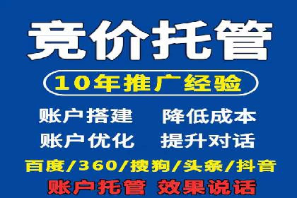 某电商平台的SEM优化托管实践与效果评估